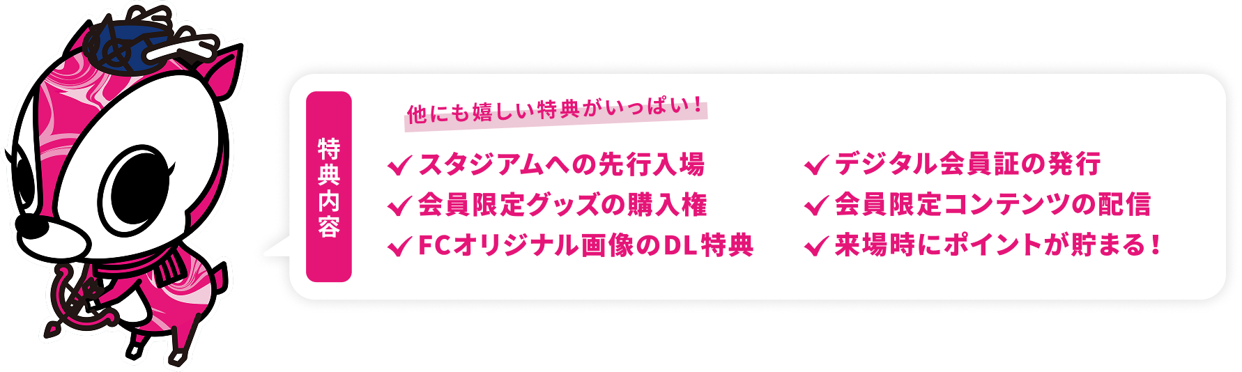 特典内容